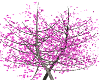 [xn]pink ani tree
