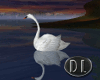 (dl) Misty Lake Swans