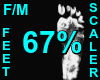 67% Feet Scaler F/M
