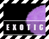 [EB] Light Purple Rug