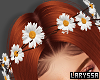 daisy flower crown