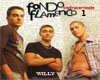 FONDO FLAMENCO 1