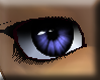 blue eye (female)