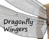 Dragonfly Wingers