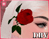 !! Red Rose DRV
