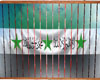 *Flag of Syria free
