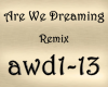 Are We Dreaming Remix