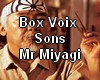 *S Box voix Mr Miyagi