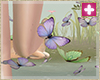 Spring butterflies 3