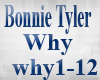 P4 Bonnie Tyler Why