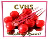 ¡CVHS Fireballs