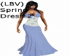 (LBV) Spring Dress2