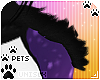 [Pets] Alta | shldr tuft