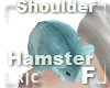 R|C Hamster Blue F