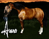 Buckskin Horse w/ Poses