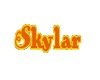 Thinking Of Skylar