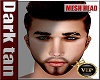 Mesh Head MED*04