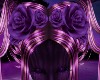 Violet Head Roses
