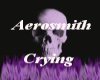 Aerosmith-Crying