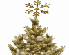 Tree / Golden