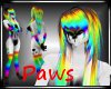 :3 Rainbow Tamy f Paws 