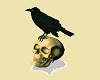 Skull Raven