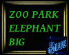 Zoo Park Elephant Big