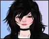 *Y* Long Ext. Kuro