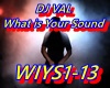 DJ VAL - What is Your So