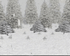Winter_Snowing