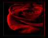 Blood Rose Mamasan