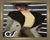 GS Winter Coat N Sweater
