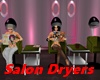 Salon Hair Dryers