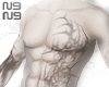 shirtless_body !