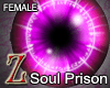 [Z]Soul Prison ~ Vio F