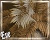 ♣Lost On You Decor