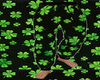 st pats day pjs