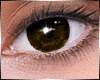 Eyes BROWN unisex (F)