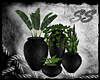 [SS] Sorrow Plants