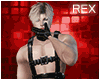 Rainbow Grid - Photo Box