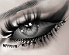 -- The Lines --
