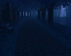 Elven forest path