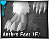 D~Anthro Ft: (F) White