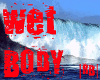 Blue Bikini + Wet Body