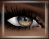 Gray Gold Eyes