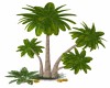 Banana Tree