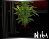 [N] Red City Life Plant