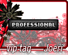 j| Professional-