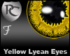 Yellow Lycan Eyes