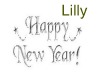 [LWR]Happy New Year Sign